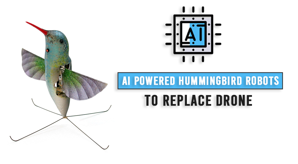 Hummingbird Robot